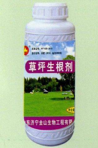 點(diǎn)擊查看詳細(xì)信息<br>標(biāo)題:草坪生根劑 閱讀次數(shù):1794