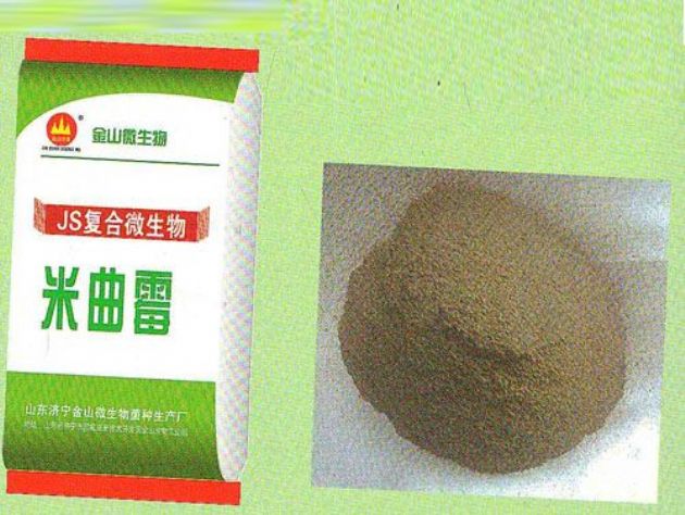 點(diǎn)擊查看詳細(xì)信息<br>標(biāo)題：米曲霉 閱讀次數(shù)：2383